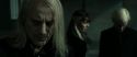 RdM2-Potterish_02902.jpg