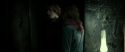 RdM2-Potterish_03093.jpg