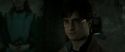 RdM2-Potterish_03370.jpg