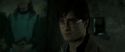 RdM2-Potterish_03424.jpg