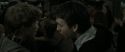 RdM2-Potterish_03783.jpg