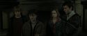 RdM2-Potterish_03864.jpg
