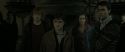RdM2-Potterish_03912.jpg