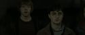RdM2-Potterish_03934.jpg