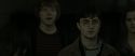 RdM2-Potterish_03935.jpg