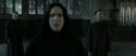 RdM2-Potterish_04086.jpg