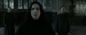 RdM2-Potterish_04088.jpg
