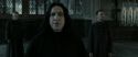 RdM2-Potterish_04089.jpg