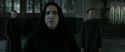 RdM2-Potterish_04090.jpg
