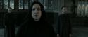 RdM2-Potterish_04091.jpg