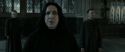 RdM2-Potterish_04092.jpg