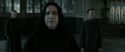 RdM2-Potterish_04093.jpg