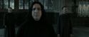 RdM2-Potterish_04094.jpg