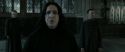 RdM2-Potterish_04095.jpg
