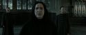 RdM2-Potterish_04125.jpg