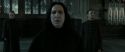 RdM2-Potterish_04128.jpg