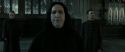 RdM2-Potterish_04132.jpg