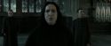 RdM2-Potterish_04134.jpg