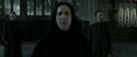 RdM2-Potterish_04137.jpg