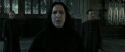 RdM2-Potterish_04138.jpg