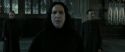 RdM2-Potterish_04139.jpg