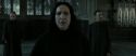 RdM2-Potterish_04140.jpg
