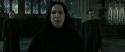 RdM2-Potterish_04142.jpg