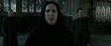 RdM2-Potterish_04143.jpg