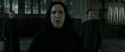 RdM2-Potterish_04144.jpg