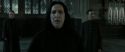 RdM2-Potterish_04146.jpg