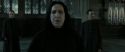RdM2-Potterish_04147.jpg