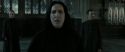RdM2-Potterish_04148.jpg