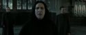 RdM2-Potterish_04151.jpg