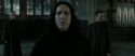 RdM2-Potterish_04152.jpg