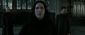 RdM2-Potterish_04156.jpg