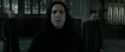 RdM2-Potterish_04157.jpg