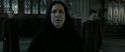 RdM2-Potterish_04158.jpg