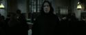 RdM2-Potterish_04189.jpg