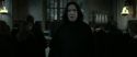 RdM2-Potterish_04190.jpg