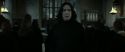 RdM2-Potterish_04191.jpg