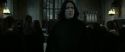 RdM2-Potterish_04193.jpg