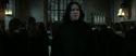 RdM2-Potterish_04194.jpg