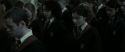 RdM2-Potterish_04226.jpg