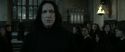 RdM2-Potterish_04232.jpg