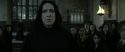 RdM2-Potterish_04233.jpg