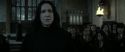 RdM2-Potterish_04270.jpg