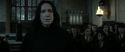 RdM2-Potterish_04271.jpg