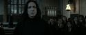 RdM2-Potterish_04275.jpg