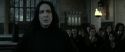 RdM2-Potterish_04287.jpg