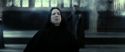 RdM2-Potterish_04320.jpg